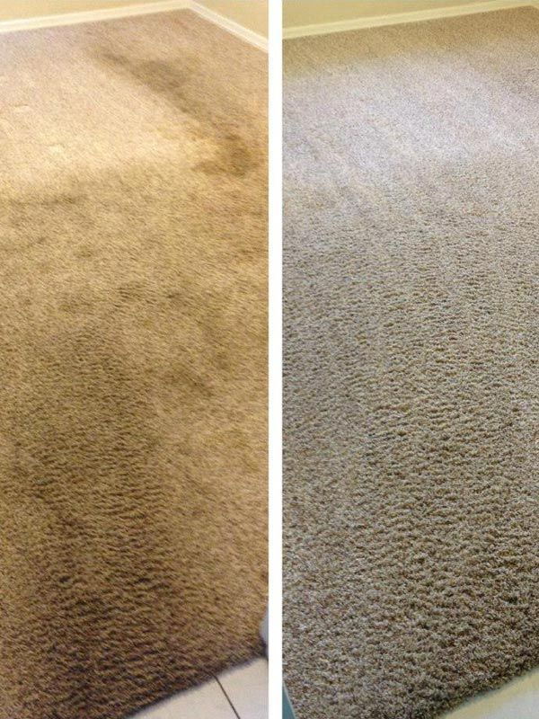 Carpet Cleaning Results