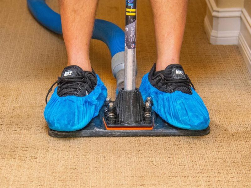 Pet Stain and odor removal process